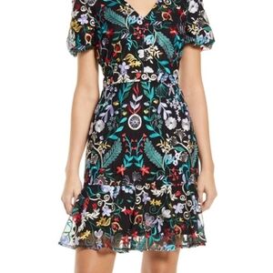 Sam Edelman Embroidered Floral Dress Size 14